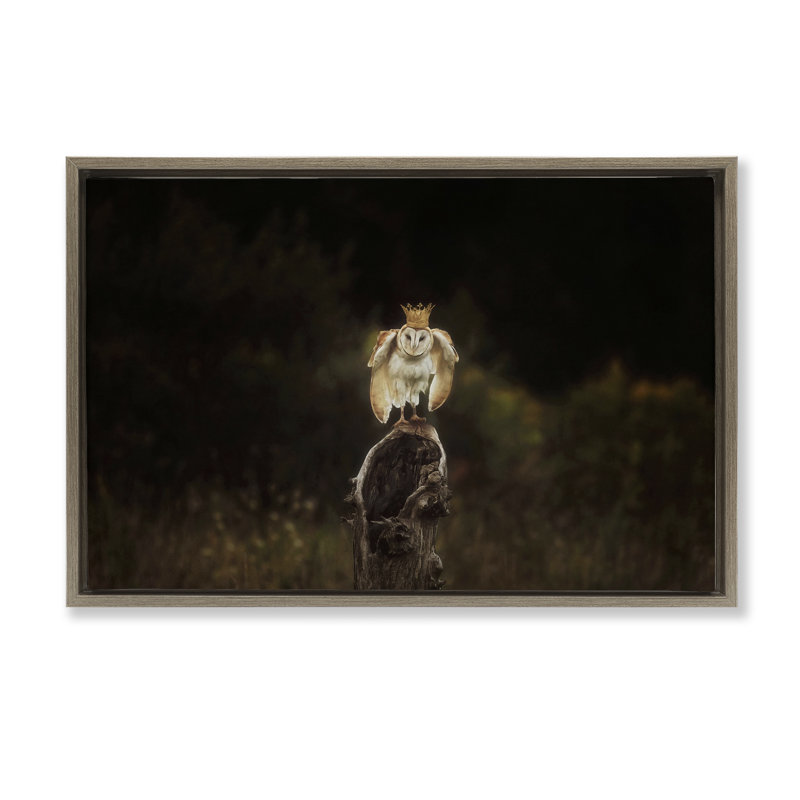 «Crowned Owl» par Carrie Ann Grippo-Pike, H 17 po x l 25 po, Cadre flottant orme Montalcino
