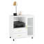 17.5cm H x 87cm W Printer Stand