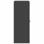 Storage Cabinet-1124211372