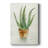 " Succulent IV " Painting Print-590337806