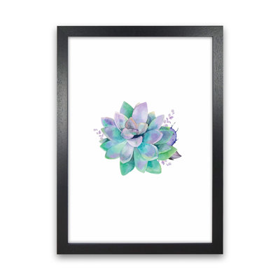 Aqua Succulent - Print