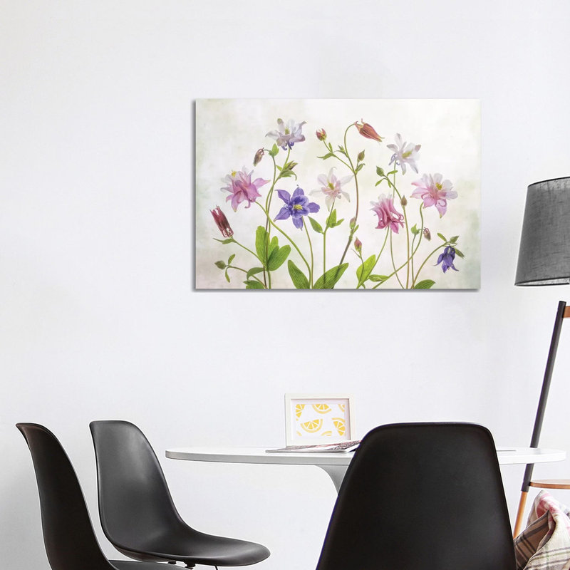 Columbine by Mandy Disher - Print on Canvas, Wrapped Canvas, 66.04cm H x 101.6cm W x 1.91cm D