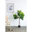 25x25x52"H Fiddle Fig Leaf Tree, 40 Leaves