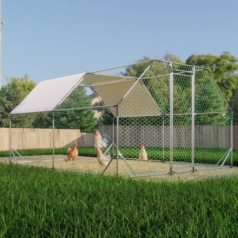 Grand poulailler en cage, H 76,32 po x l 154,08 po x P 119,28 po