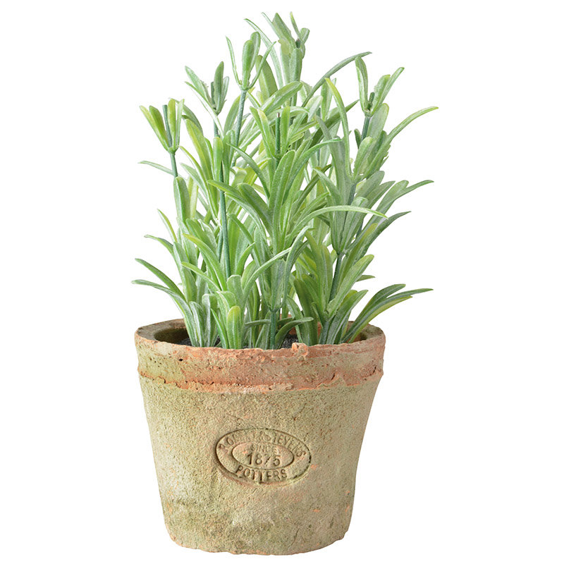 Cachepot