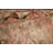 Geometric   Area Rug 8x11