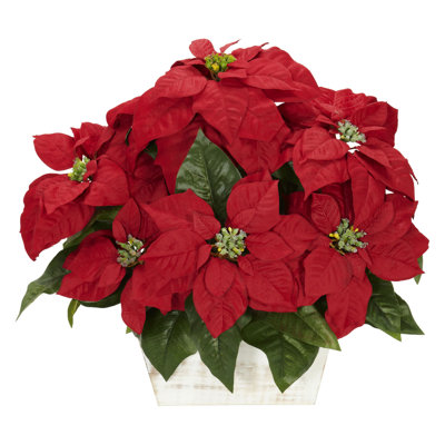 Arrangements floraux de poinsettias en pot