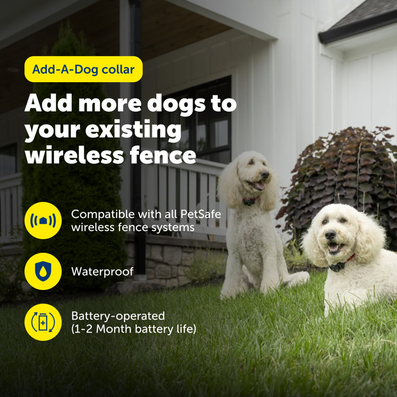 PetSafe Wireless Pet Containment System Receiver Collar