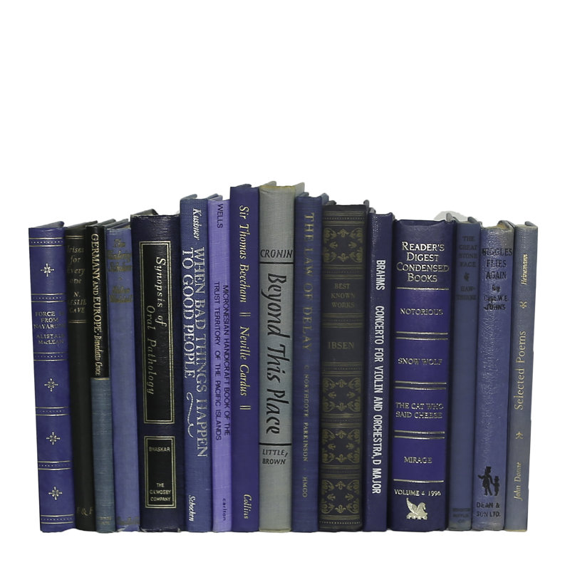 Decorative Books - Petite Vintage Denim Book Bundle - 1 Foot of Blue Books, Blue