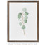 « mou eucalyptus branch iii » par paul cezanne-photo, reproduction d’art encadrée-234294641-234331537-234331538