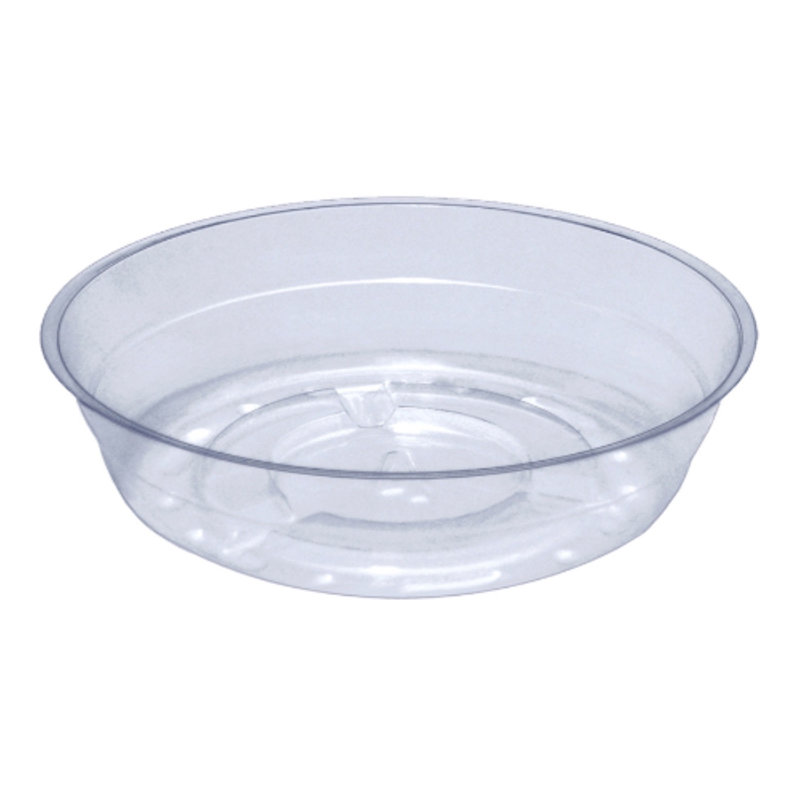 Saucer Plant Stand