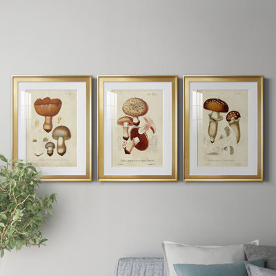 «Mushroom Variétés I», reproduction encadrée de qualité supérieure - prête à être accrochée
