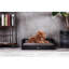 Canapé pour chien avec coussin amovible Ace-2133267727-2133267720