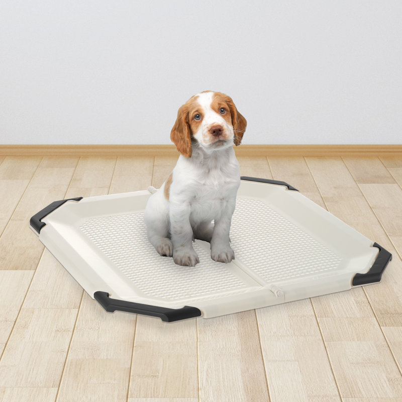Paw Trex Mesh Potty Pad Holder, Beige/Black