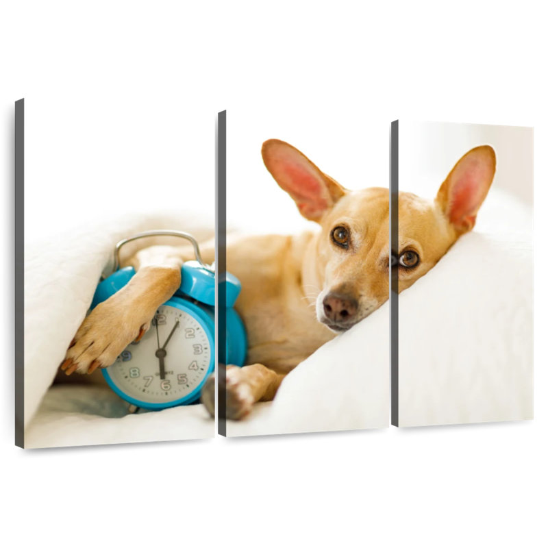 Brampt Dog Alarm, 24" H x 38" W