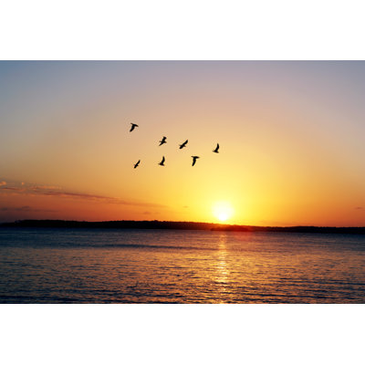 Morning Flight by Hidesy