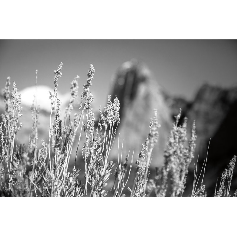 Canyon Sagebrush 1 Piece Wall Art on Canvas, 20cm H x 30cm W x 3.8cm D