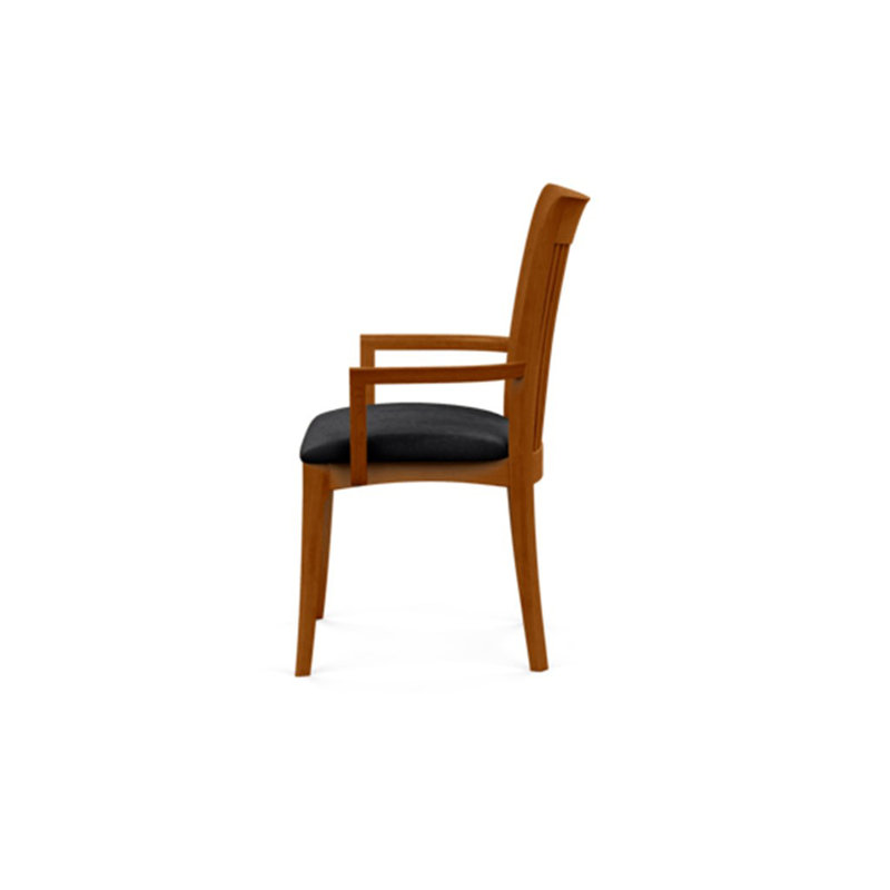 Sarah 19.25'' H Upholstered Armchair, Autumn Cherry, Onyx Microsuede