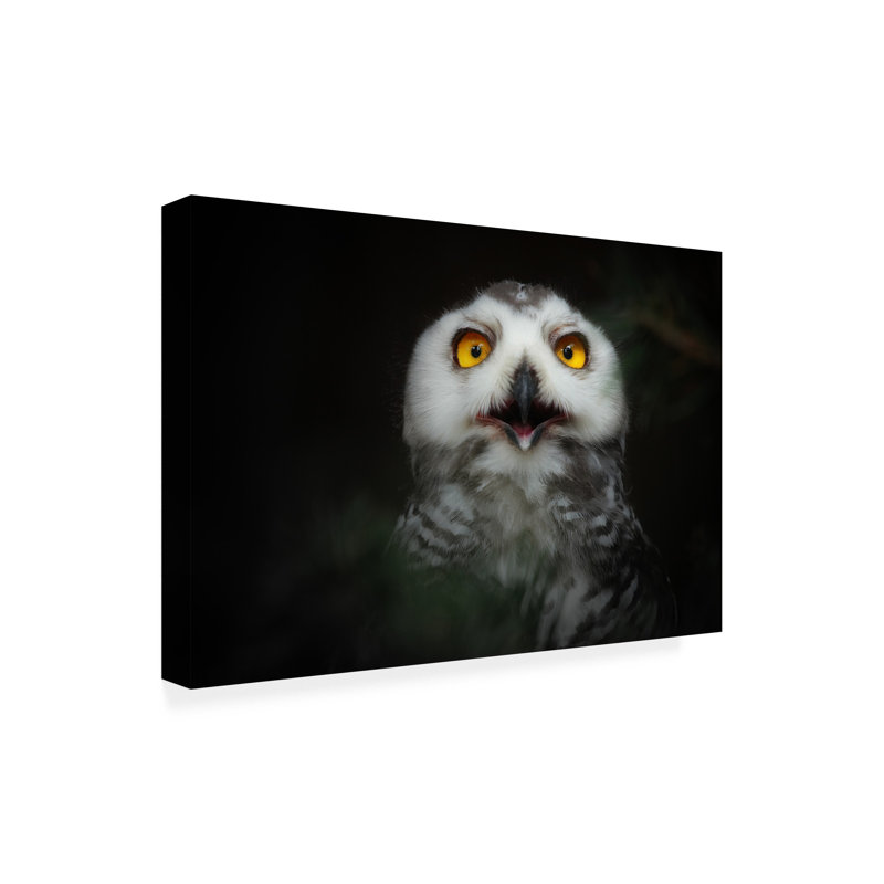 Art sur toile Antje Wenner Braun, H 22 po x l 32 po