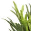 13'' Faux Plant