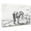 Horse In A Meadow by Jean Bernard - Wrapped Canvas Print-55360524