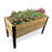 Alisanne Elevated Planter