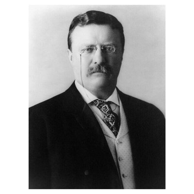 Theodore Roosevelt by Pach Brothers - Giclee Print
