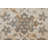Neoma Casual Bordered Viscose/Polyester Area Rug-749538437