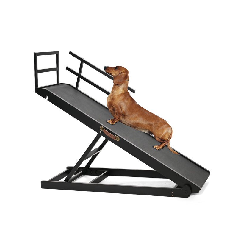 Rampe pliante en bois pour chien Almeric, Noir