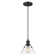 Weatherford 1 - Light Single Pendant
