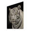 Tigre blanc féroce sur bois-409330651