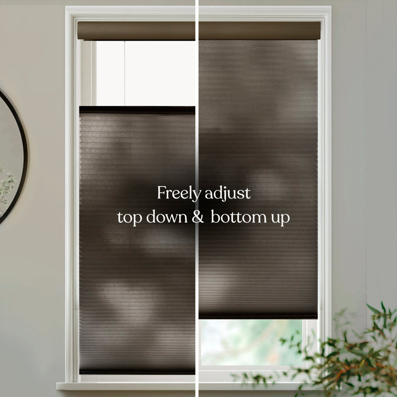 Top Down Bottom Up Cellular Shades, Brown, 57.5"W x 36"L
