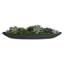 Centre de table Uttermost Verde