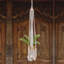 Porte-plantes Afton