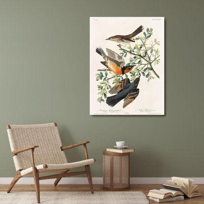"Lark Manor", Audubon, John James, reproduction d'art sur toile tendue: Mocking
