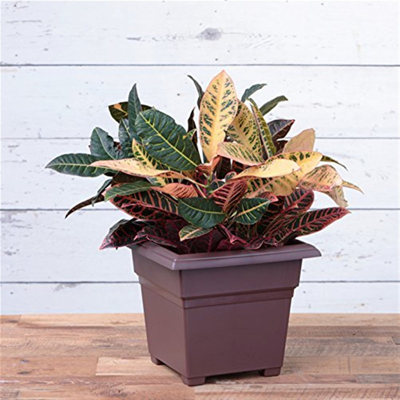 Kayenta Pot Planter, 13" H x 14" W x 14" D, Brown