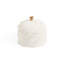 Decorative Box-1076000221