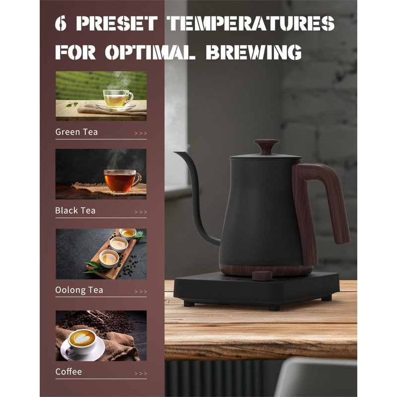 Matte Black Stainless Steel Electric Gooseneck Kettle with LED Display