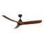 Baylor Smart Downrod Ceiling Fan-1674648005