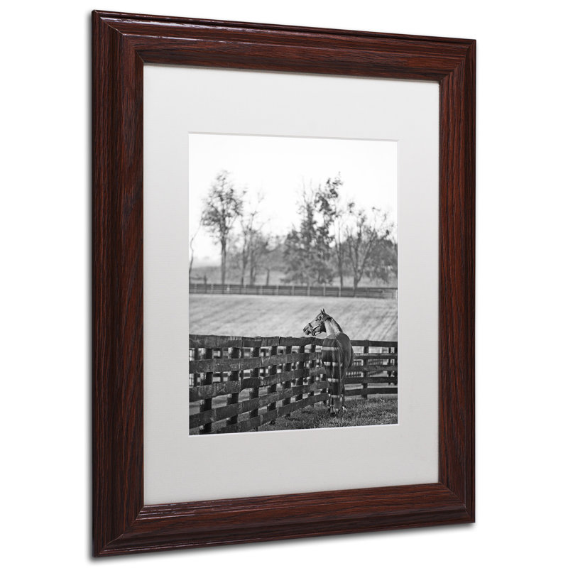 Kentucky Horse Sunrise Black and White Canvas Print with Wooden Frame