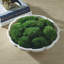  Centre de table Awaken Moss