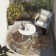 Fredela Area Rug