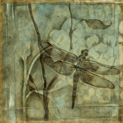 Small Ethereal Wings II by Jennifer Goldberger - Wrapped Canvas Art Prints