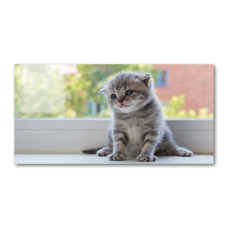 A Small Cat by the Window 1 Piece Wrapped Canvas Wall Art