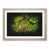 Oak Framed selected