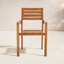 Leon Outdoor Teak Dining Armchair