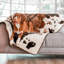 Jeté imperméable PupProtector-103792886-102079372