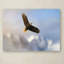 «Rise Above Bald Eagle» de Vidur, impression sur toile tendue-22073582