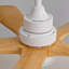 Hot vente de ventilateurs de plafond modernes de 42 pouces avec lumières et télécommande-121071282-121071283