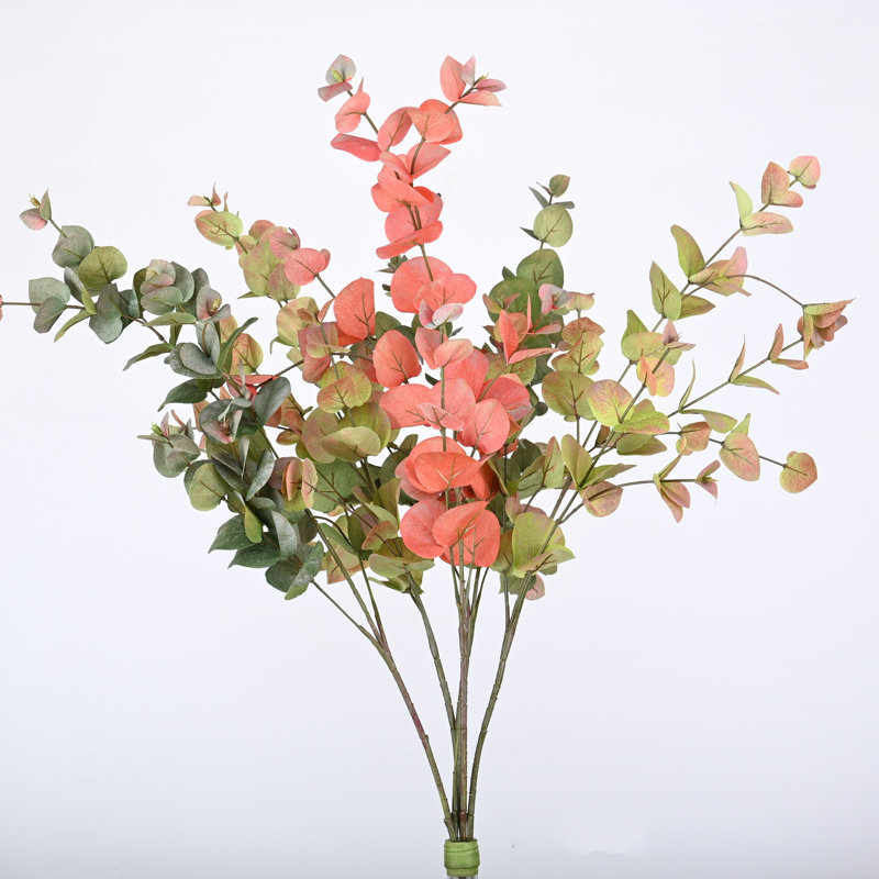 Buissons d'eucalyptus Hamlin, Dégradé / vert / rose